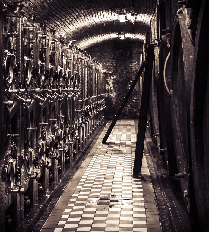 Penzion Vino Hruska Blatnička Eksteriør bilde